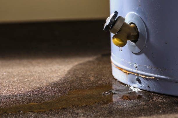 Best 24-hour water damage restoration  in Wagener, SC