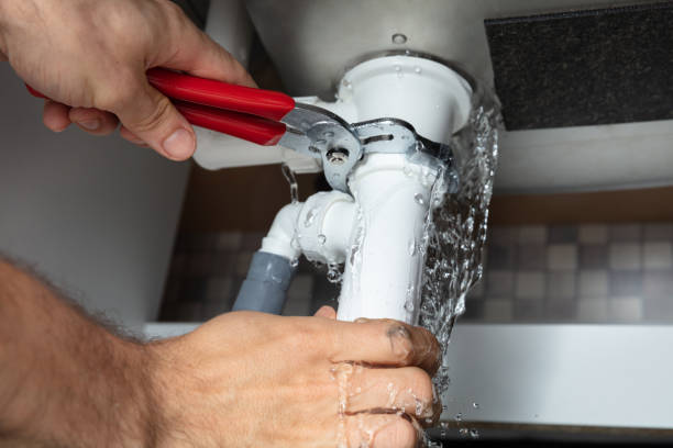 Best Sewage cleanup and water damage restoration  in Wagener, SC