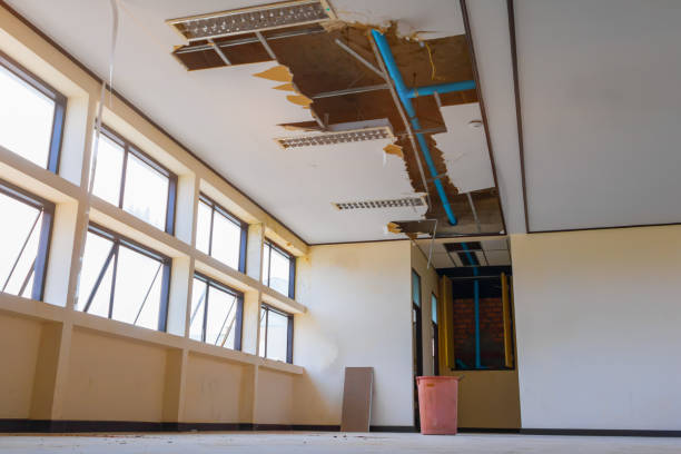 Best Water damage restoration cost  in Wagener, SC