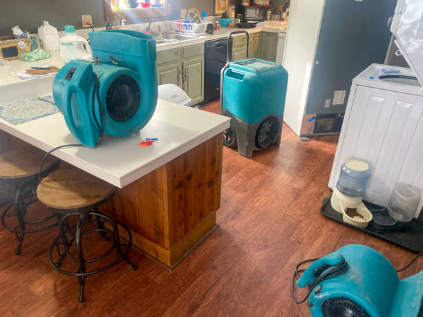 Best 24-hour water damage restoration  in Wagener, SC