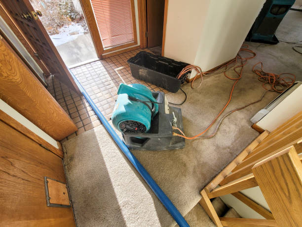 Best Emergency water damage restoration  in Wagener, SC