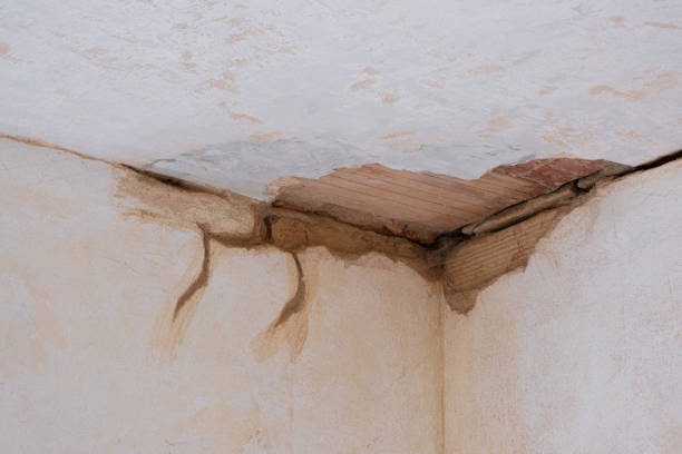 Best 24-hour water damage restoration  in Wagener, SC