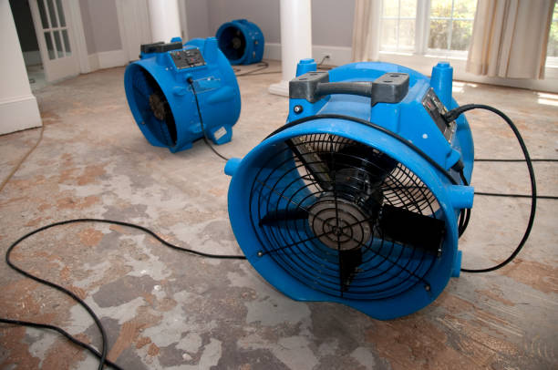 Best Professional water damage repair  in Wagener, SC