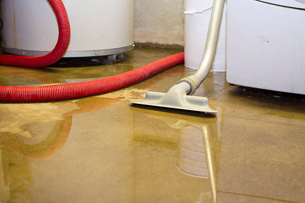 Best Residential water damage restoration  in Wagener, SC