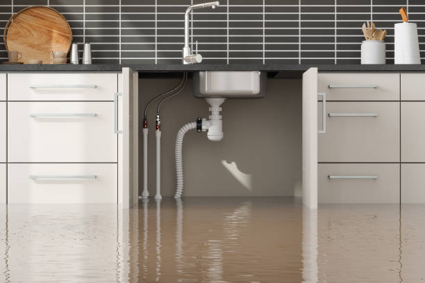 Best Carpet water damage restoration  in Wagener, SC
