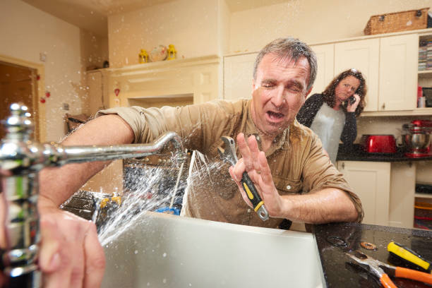 Best Local water damage restoration  in Wagener, SC